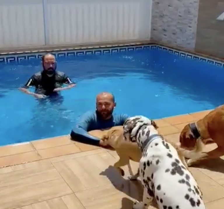 Nauzet Ramos - entrenador canino - Mi perro tiene miedo al agua